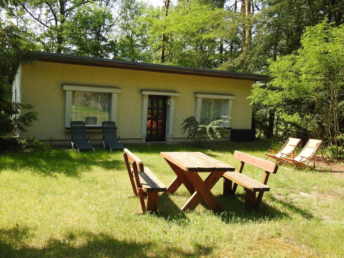 Apartmán Haus Waldfrieden Bad Saarow Exteriér fotografie